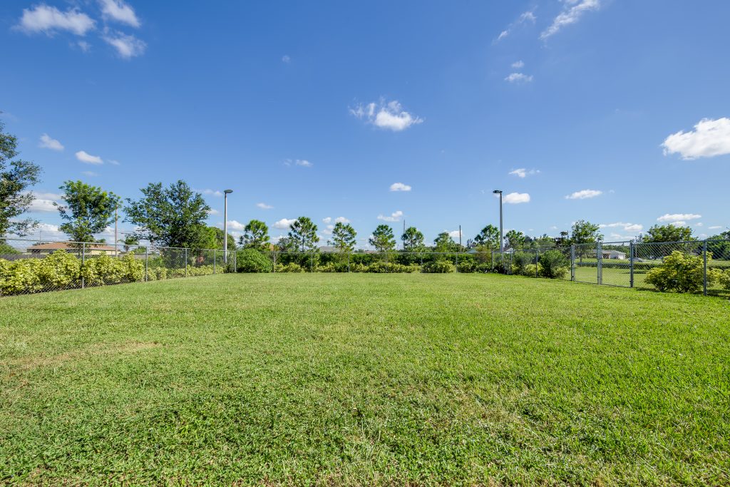 Boarding Santa Barbara Animal Hospital